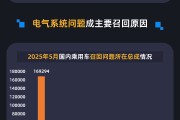 梦见吃鸡黑猫投诉发布5月国内汽车召回数据：德系占召回总量近九成 电气系统问题成召回主因