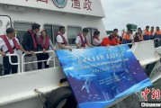 梦见吃鸡浙江今年计划放流种类海洋水生生物苗种超15亿单位