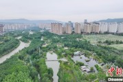 梦见吃鸡西宁市举办六五环境日主题宣传活动